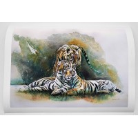 Remembering Tigers - Limited Edition Print