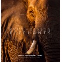 Remembering Elephants - Standard Edition