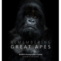 Remembering Great Apes - Standard Edition