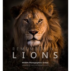 Remembering Lions - Standard Edition