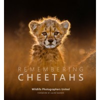 Remembering Cheetahs - Standard Edition - 'Back In Stock'