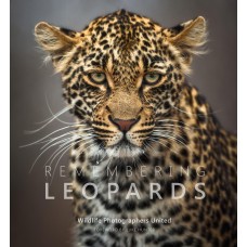 Remembering Leopards - Standard Edition