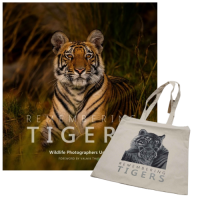 Remembering Tigers - Standard Edition - With Tote Bag