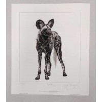 Remembering African Wild Dogs - Limited Edition Print