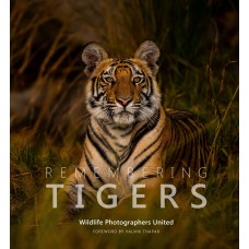 Remembering Tigers - Standard Edition